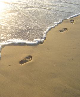 Graphic by Elaine Frampton