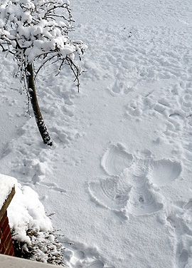 Image courtesy http://thecruetset.blogspot.ca/2010/01/snow-angel-with-wobbly-tooth.html