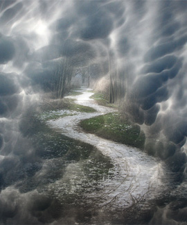 Graphic by Elaine Frampton